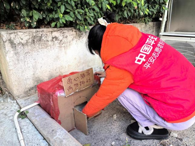 废纸箱变暖巢,平安产险龙岩中心支公司为流浪猫筑起冬日避风港(2) 废纸箱变暖巢,平安产险龙岩中心支公司为流浪猫筑起冬日避风港(2)