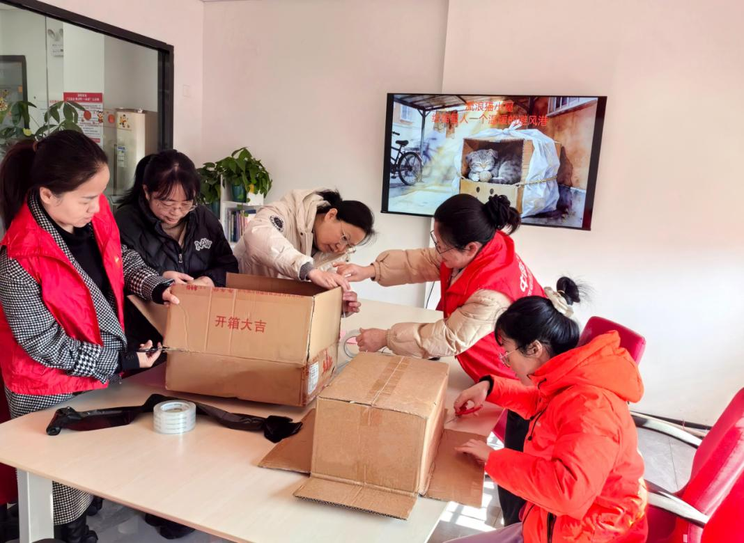 废纸箱变暖巢,平安产险龙岩中心支公司为流浪猫筑起冬日避风港(1) 废纸箱变暖巢,平安产险龙岩中心支公司为流浪猫筑起冬日避风港(1)