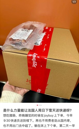 暴雪寒潮席卷欧洲 多地网友称收到“京东快递”：Joybuy半夜下单，早上九点送达(4)