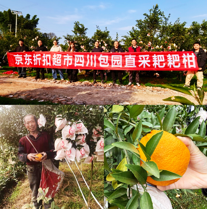 京东折扣超市年货节火热开启！爆款击穿底价叠加抽黄金(2)