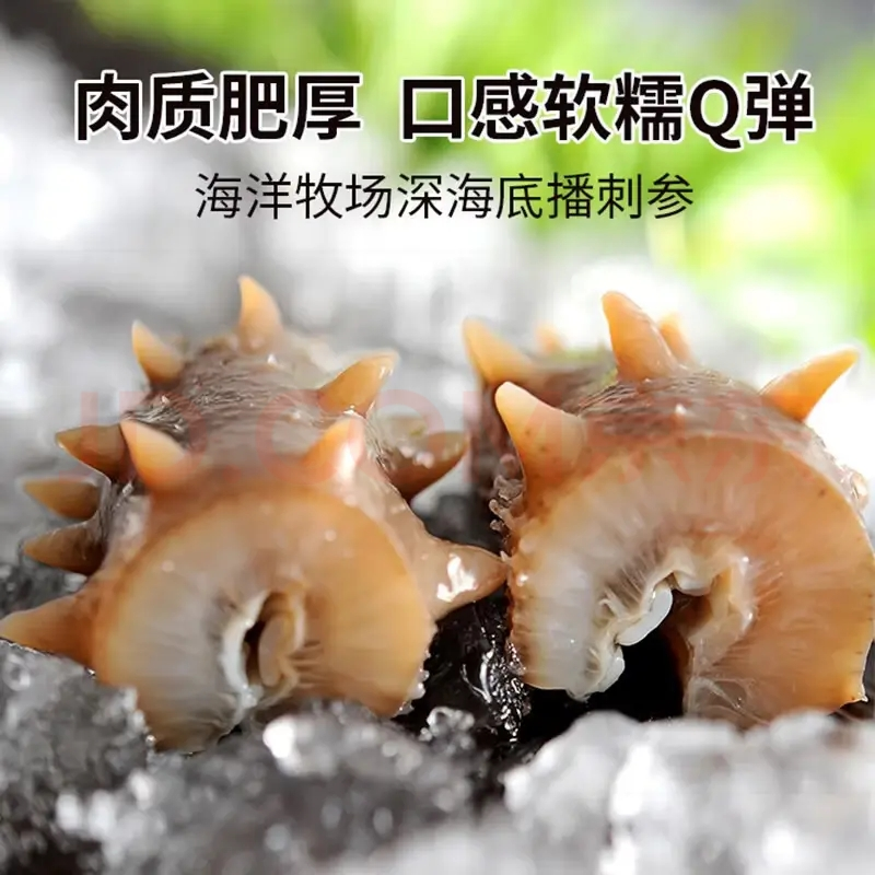 京东生鲜与青岛市海洋发展局达成战略合作，共推“海味青岛”区域公用品牌(4)
