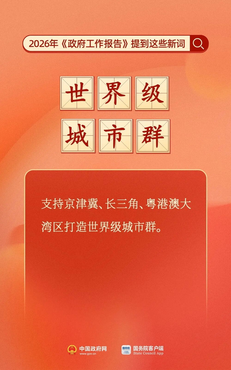 划重点！今年《政府工作报告》提到这些新词(9)