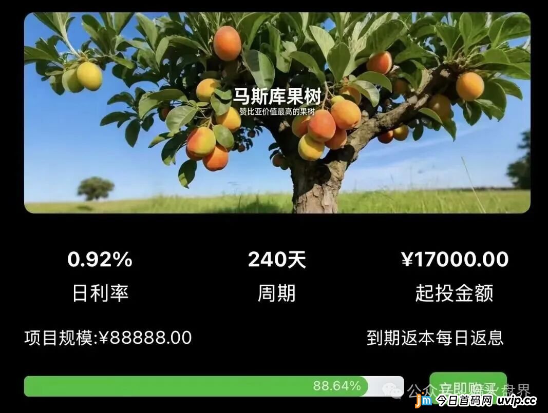 起底“华洋绿投”资金盘：年化超350%的海外种果树骗局，专坑想赚快钱的普通人(3)