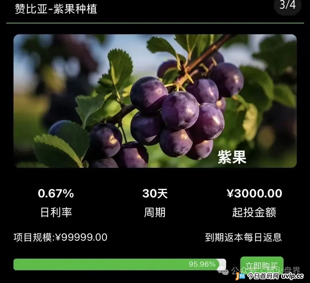 起底“华洋绿投”资金盘：年化超350%的海外种果树骗局，专坑想赚快钱的普通人(2)