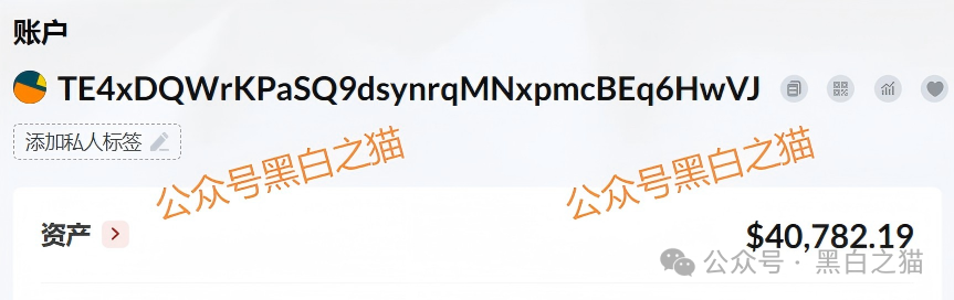 别再上当！“荣晖资本”是黑灰产标准化诈骗模板，从白皮书到客服全是假的(11)