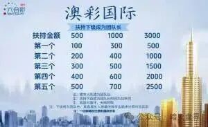 “澳彩国际”彩票跟单骗局， 财负导师王景成单割上千号会员，随时全线崩盘！(6)