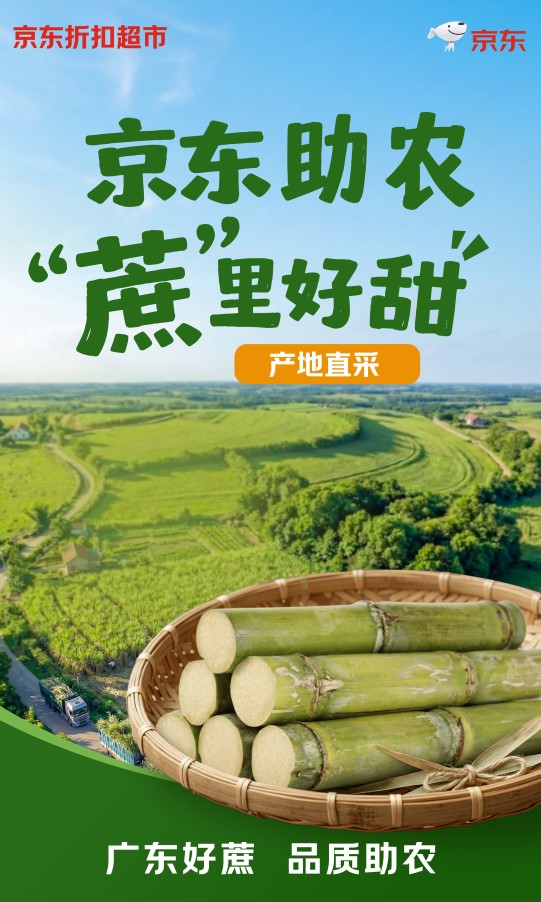 京东折扣超市助农：广州南沙黄皮甘蔗4月5日全国开卖(4)