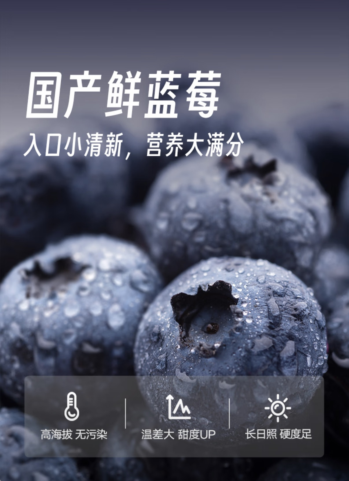 京东生鲜“踏青经济”数据出炉：源头直发的京鲜生云南蓝莓同比增长36倍(1)