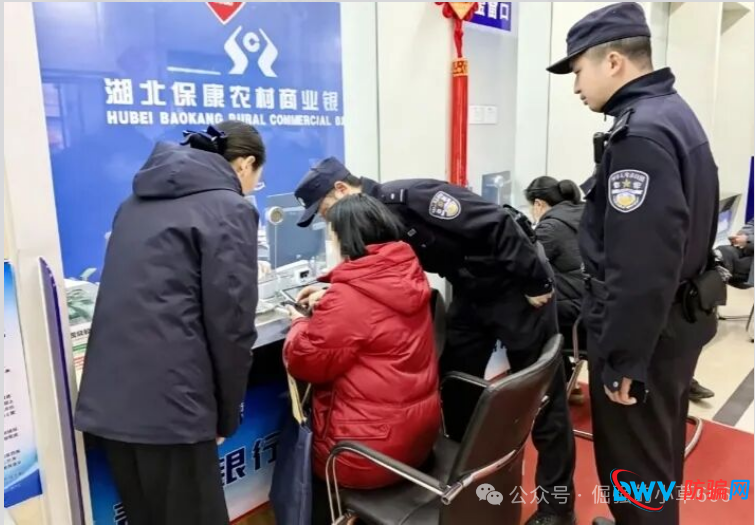 警惕！“九彩果鲜”资金盘骗局深度剖析：高收益幻象下的财富黑洞(4)