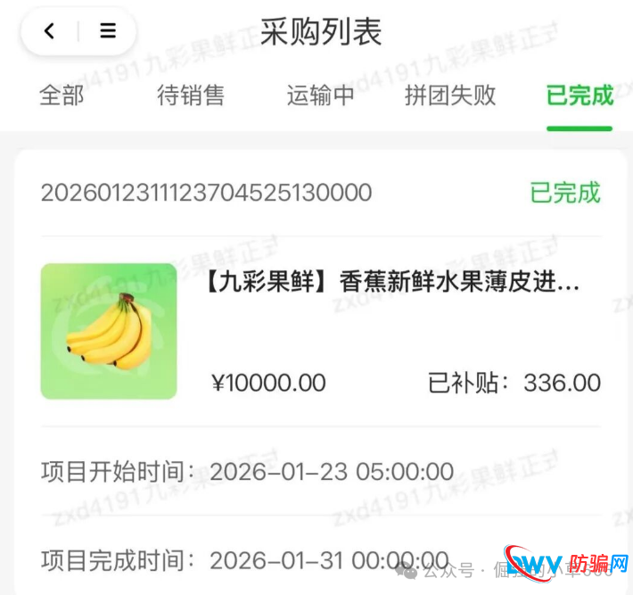 警惕！“九彩果鲜”资金盘骗局深度剖析：高收益幻象下的财富黑洞(2)