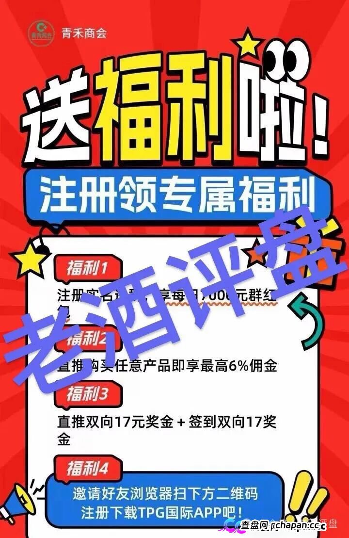 警惕所谓“青禾商会”推广的TPG Intl：披着“国际资本”外衣的资金盘骗局！(2)